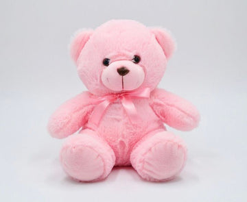 Pink teddy bear soft teddy bear in Pakistan affordable teddy bear price by Stuffeez.pk