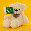 Giant Teddy Bear Price in Pakistan – Is It Worth It?