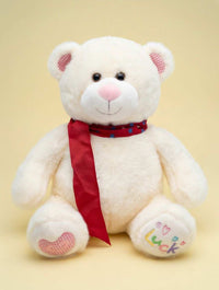 1.5 feet fuzzy foggy monkey teddy bear soft plush toy in Pakistan by Stuffeez.pk