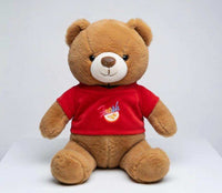1 feet teddy bear with shirt soft teddy bear in Pakistan by Stuffeez.pk