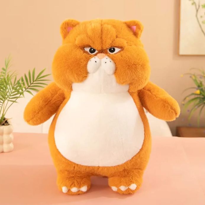 Angry Pussycat-Cat Stuff Toy-1-2 Feet Soft Toys For Kids