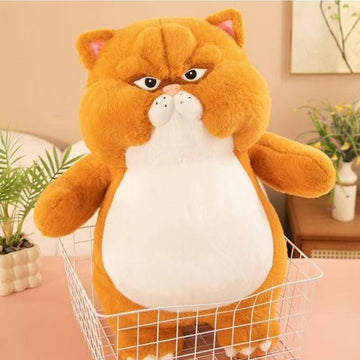 Angry pussy cat  55 cm