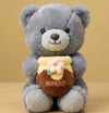 Honey Pot Teddy Bear-Affordable Teddy Bear In Pakistan