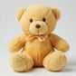 beige teddy bear soft teddy bear in Pakistan affordable teddy bear by Stuffeez.pk