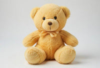beige teddy bear soft teddy bear in Pakistan affordable teddy bear by Stuffeez.pk