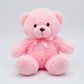 Pink teddy bear soft teddy bear in Pakistan affordable teddy bear price by Stuffeez.pk