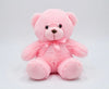 Pink teddy bear soft teddy bear in Pakistan affordable teddy bear price by Stuffeez.pk