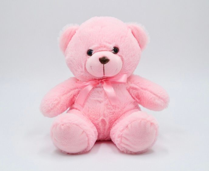 Pink teddy bear soft teddy bear in Pakistan affordable teddy bear price by Stuffeez.pk