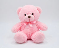 Pink teddy bear soft teddy bear in Pakistan affordable teddy bear price by Stuffeez.pk