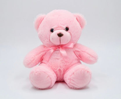 Pink teddy bear soft teddy bear in Pakistan affordable teddy bear price by Stuffeez.pk