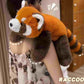 Raccoon Plush Toy-Premium Stuffed Animal In Pakistan