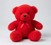 Red teddy bear cute teddy bear in Pakistan with affordable price by stuffeez.pk