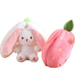 Stawberry Bunny Zip Plushie 35cm-Teddy Bears In Pakistan