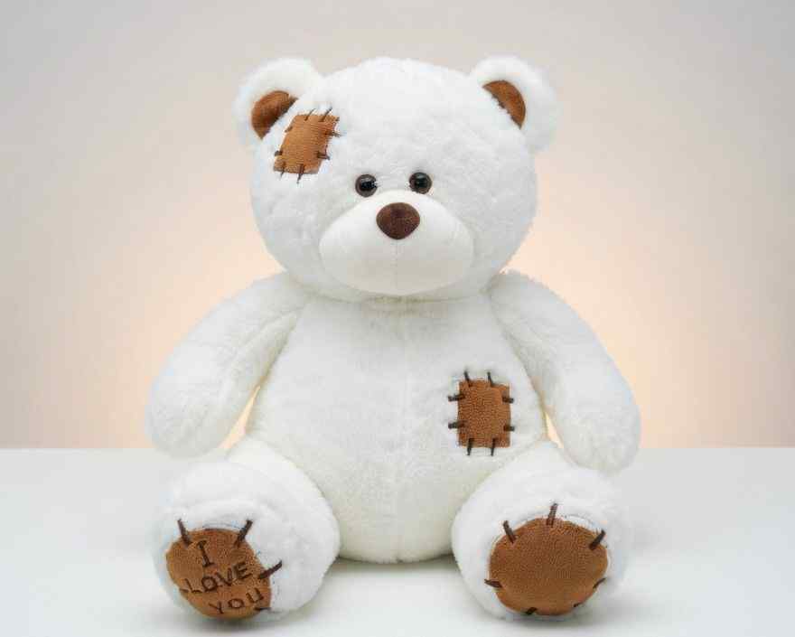 Stuffeez white patch teddy bear soft premium plush stuffed toy in Pakistan