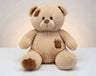 Stuffeez Patch Teddy Bear