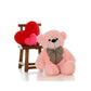 3.2 feet Premium Pink Teddy Bear